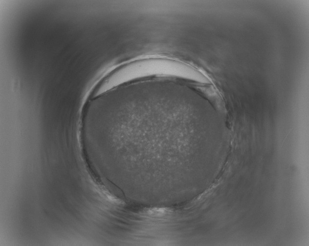 X0000070170152200606162105