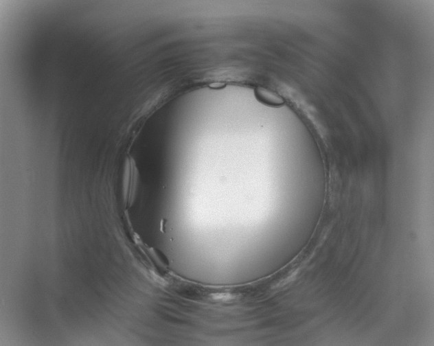 X0000070170153200606162105