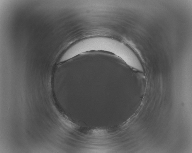 X0000070170154200606162105