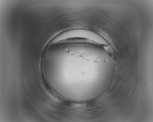 X0000070170155200606162105