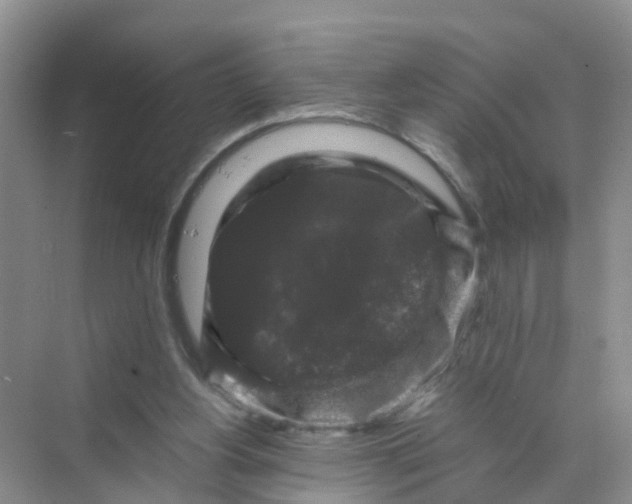 X0000070170156200606162105