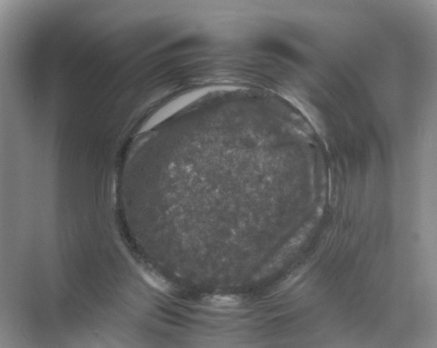 X0000070170157200606162105