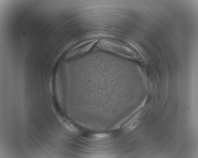 X0000070170158200606162105