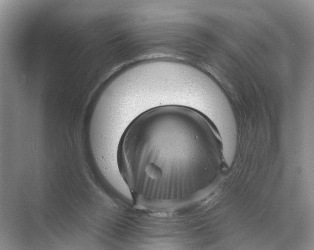 X0000070170160200606162105