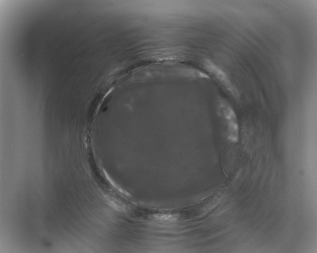 X0000070170161200606162105