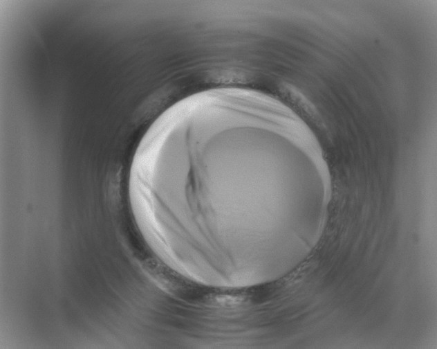 X0000070170163200606162105