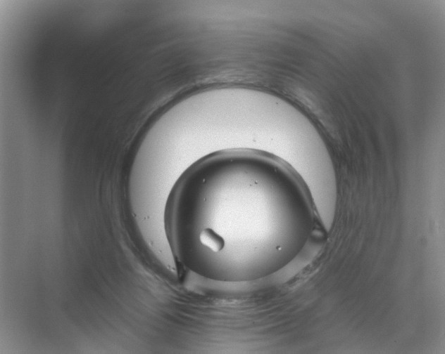 X0000070170164200606162105