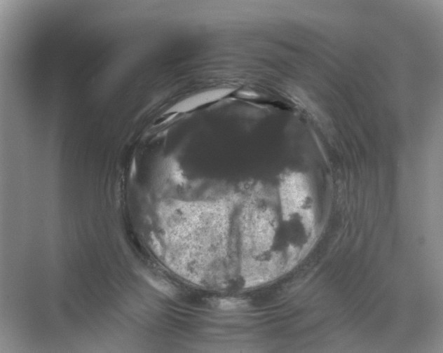 X0000070170165200606162105