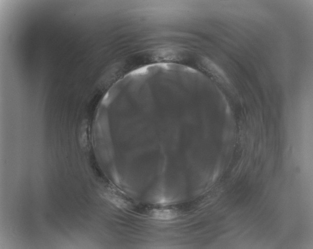 X0000070170169200606162105