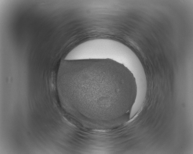 X0000070170170200606162105