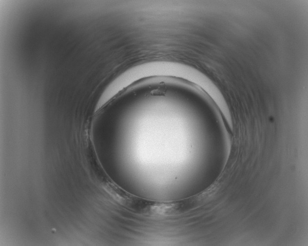 X0000070170172200606162105