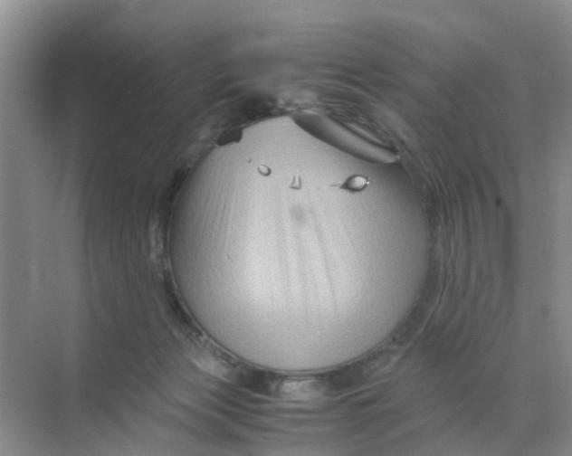 X0000070170173200606162105