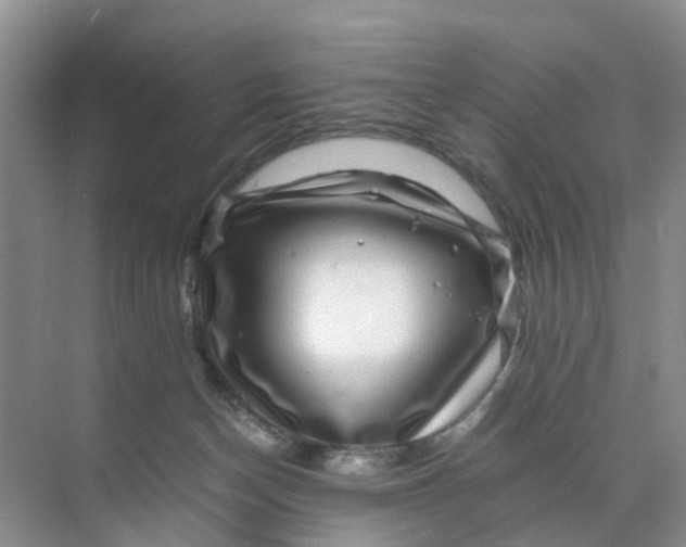 X0000070170174200606162105