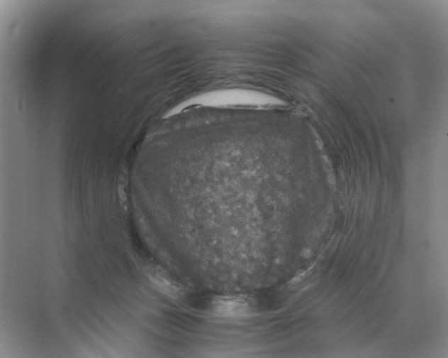 X0000070170175200606162105