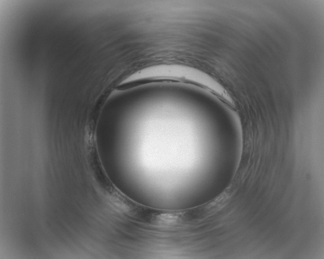 X0000070170176200606162105