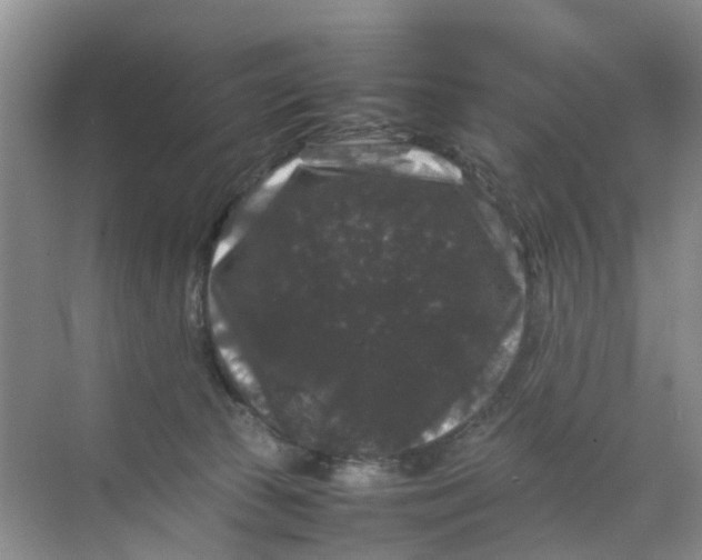 X0000070170177200606162105