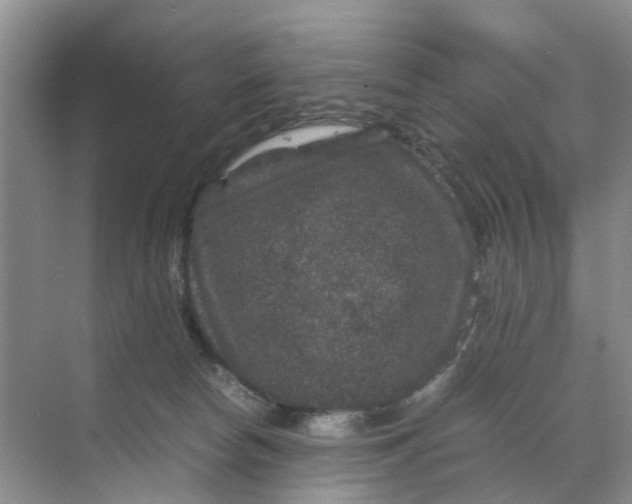 X0000070170178200606162105