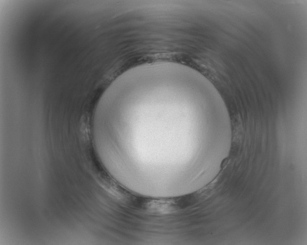 X0000070170179200606162105