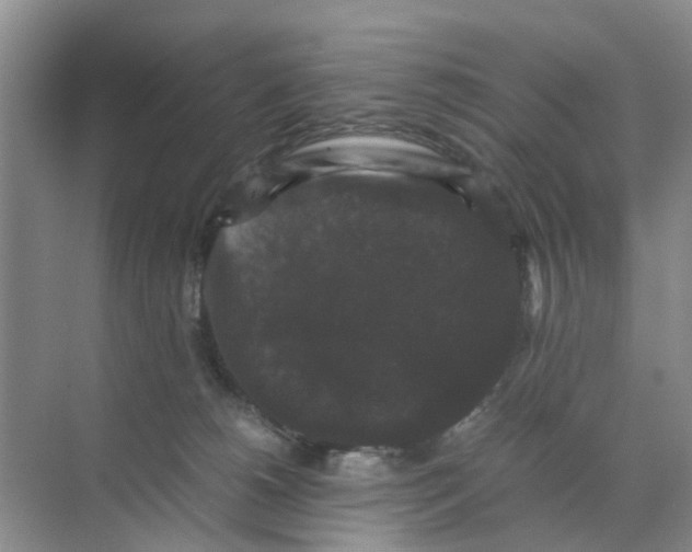 X0000070170180200606162105