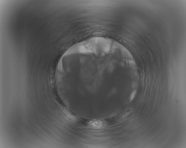 X0000070170181200606162105