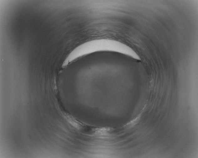 X0000070170182200606162105