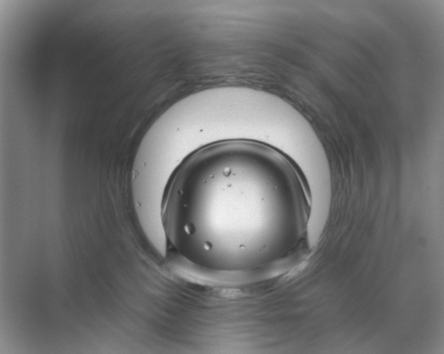 X0000070170184200606162105