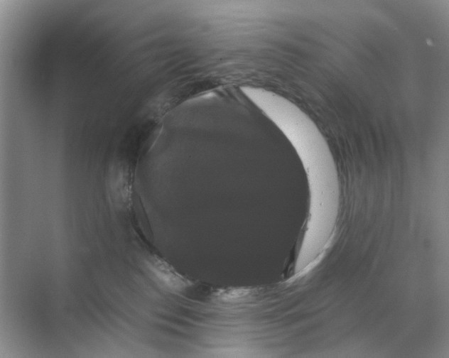 X0000070170186200606162105