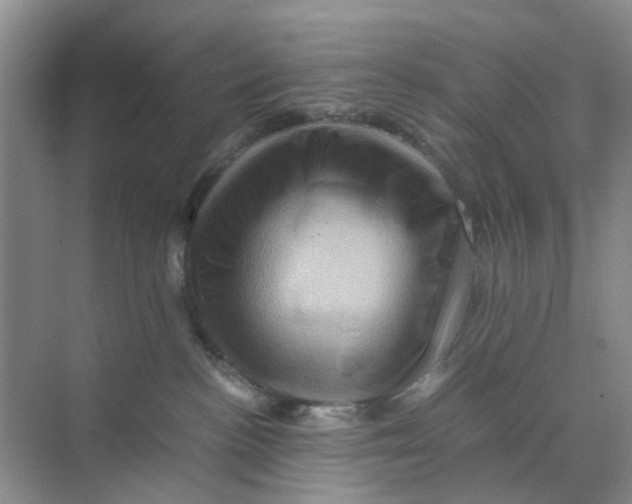 X0000070170188200606162105