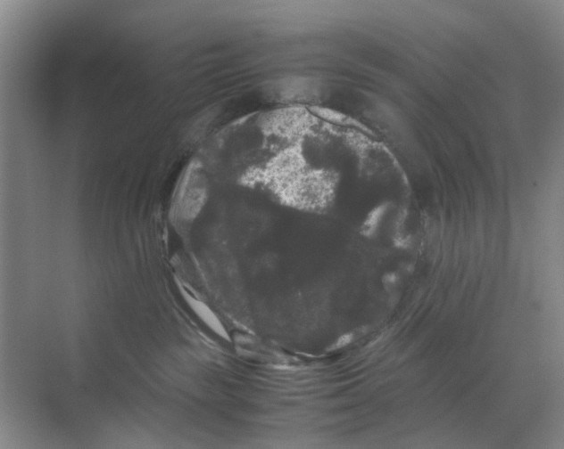 X0000070170189200606162105