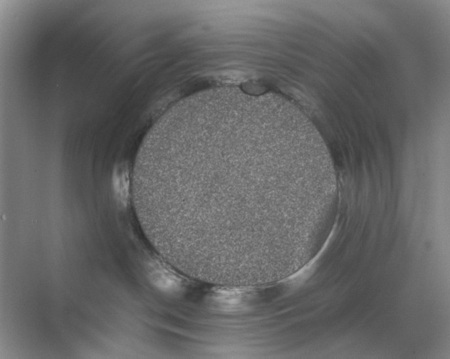 X0000070170190200606162105