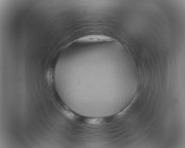 X0000070170191200606162105