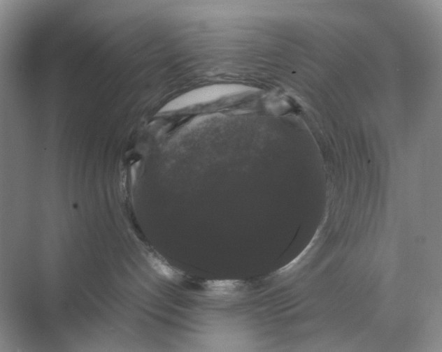 X0000070170192200606162105