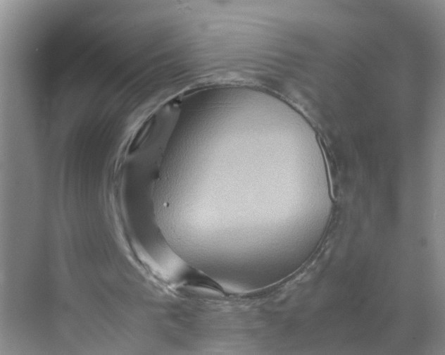 X0000070170193200606162105