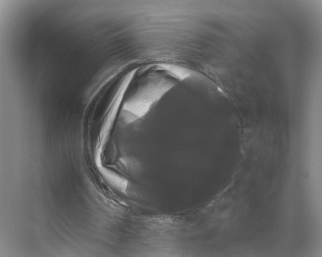 X0000070170194200606162105