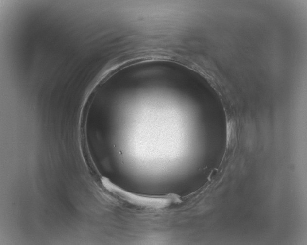 X0000070170195200606162105