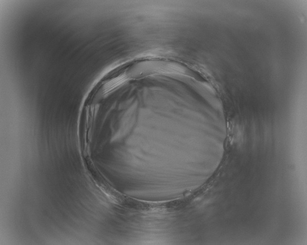 X0000070170196200606162105