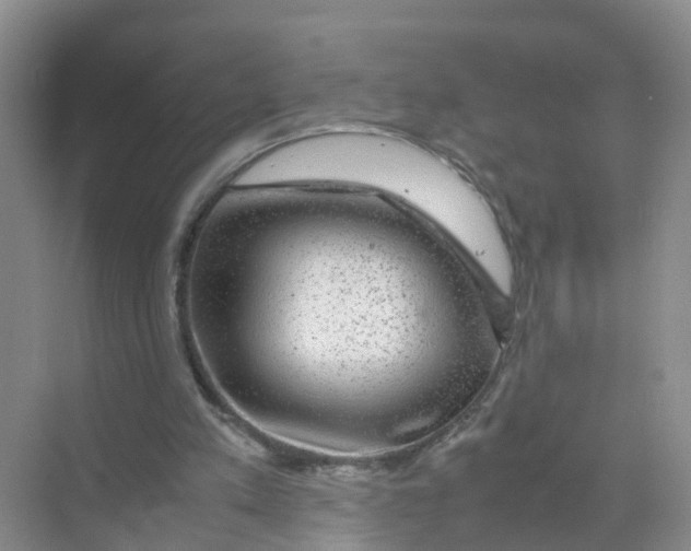 X0000070170197200606162105