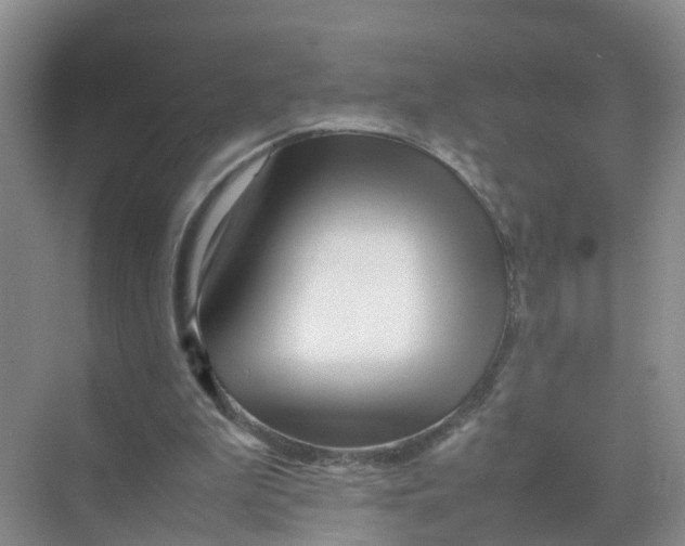 X0000070170199200606162105