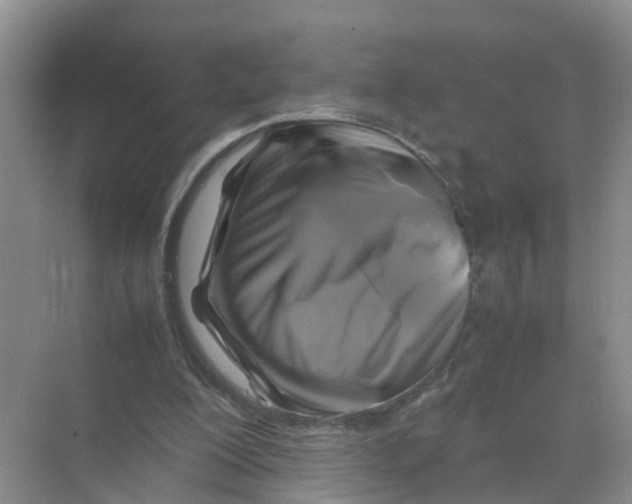 X0000070170200200606162105