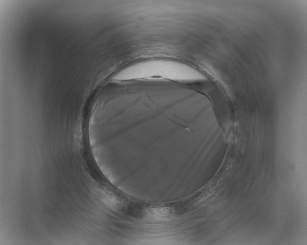 X0000070170202200606162105