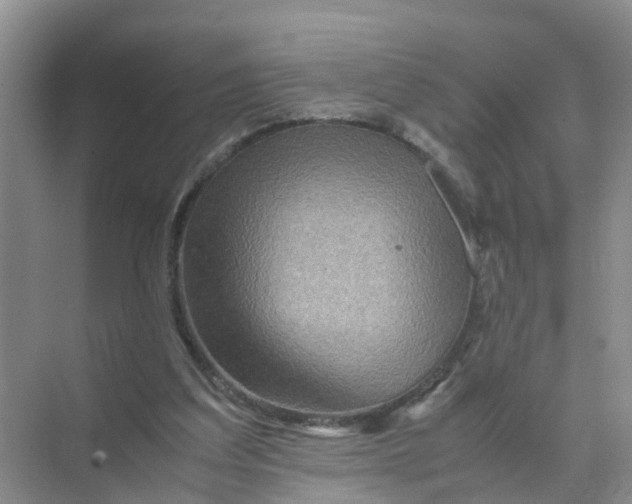 X0000070170203200606162104