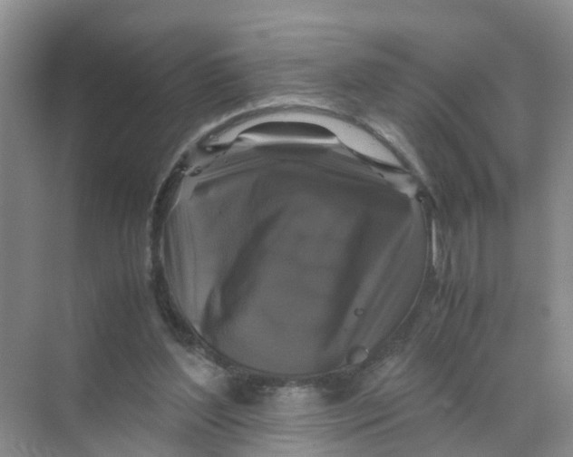 X0000070170204200606162104