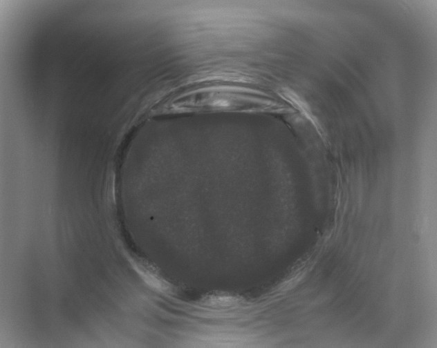 X0000070170205200606162104