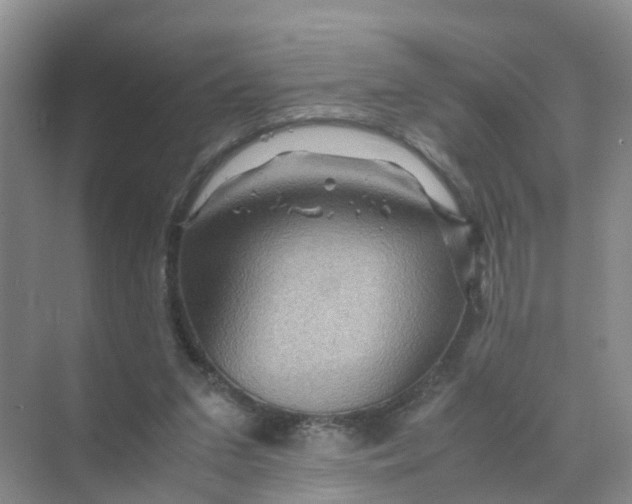 X0000070170207200606162104