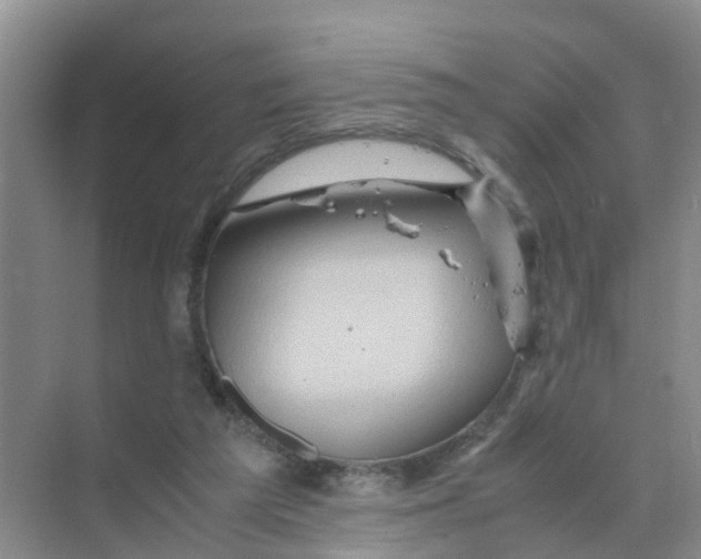 X0000070170209200606162104