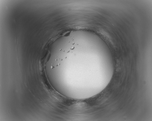 X0000070170210200606162104