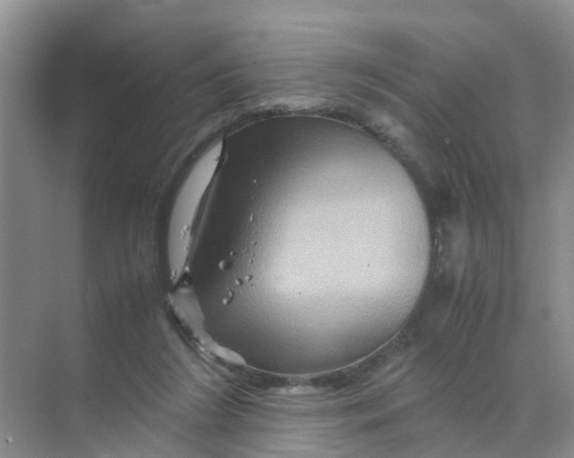 X0000070170212200606162104