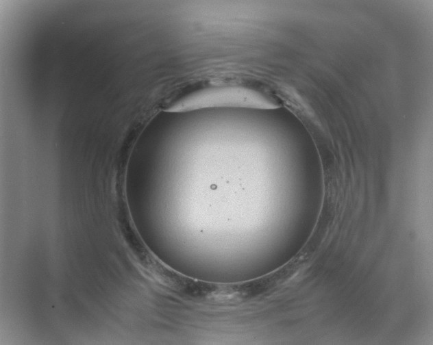 X0000070170213200606162104