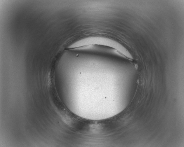 X0000070170216200606162104