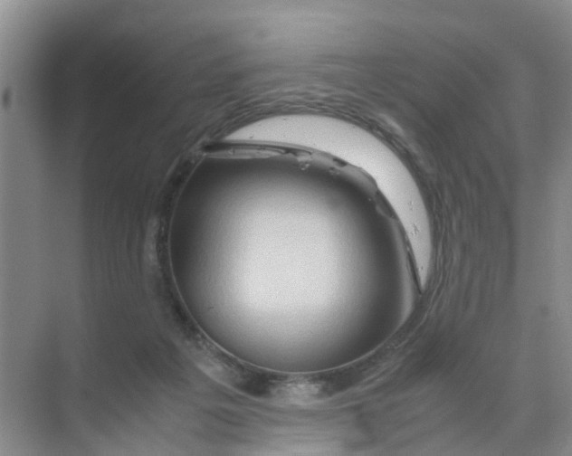 X0000070170217200606162104